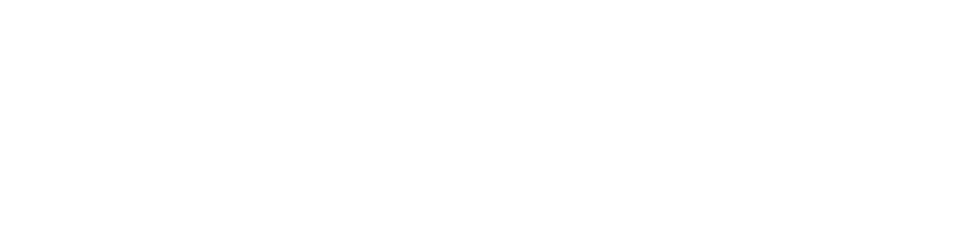 LinguaLeo