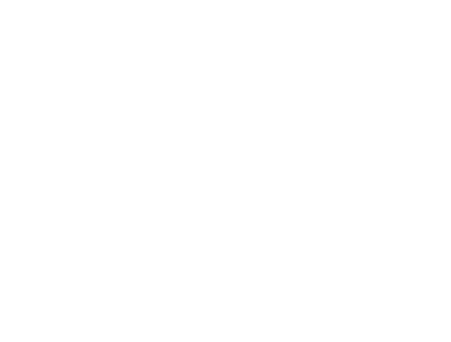 Sky Corporation